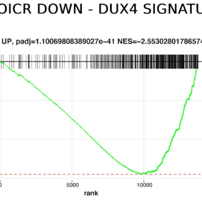 WDR5 as novel druggable target in&nbsp;FSHD